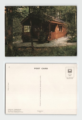 Postcard the murray forest - -,