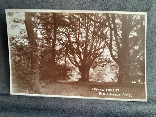 Epping forest high beech - epping,