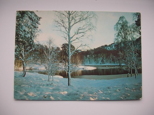 Rothiemuchus forest postcard - postcard,