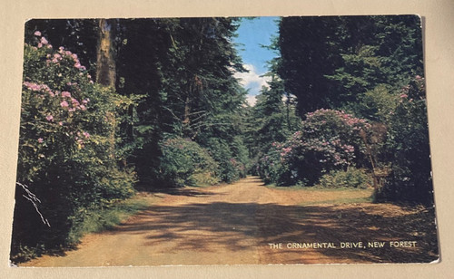 Unused postcard new - -,