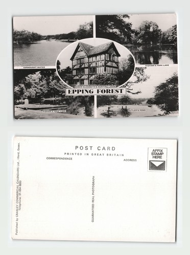 Postcard epping forest - -,