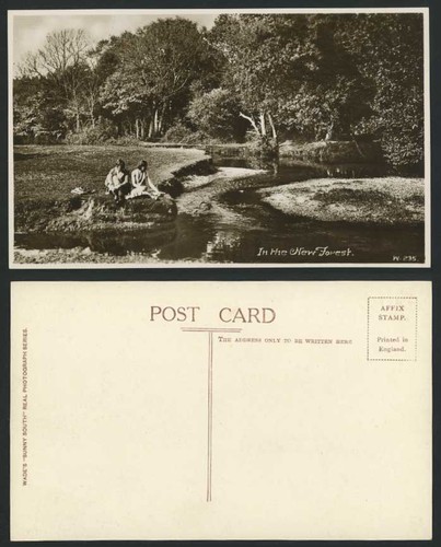 New forest hampshire old real - hampshire,
