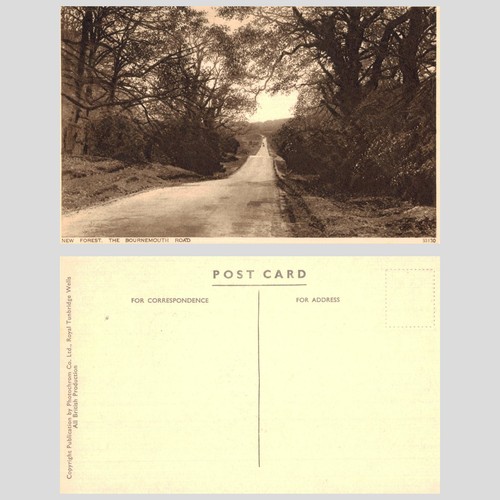 Vintage postcard new forest - postcard,