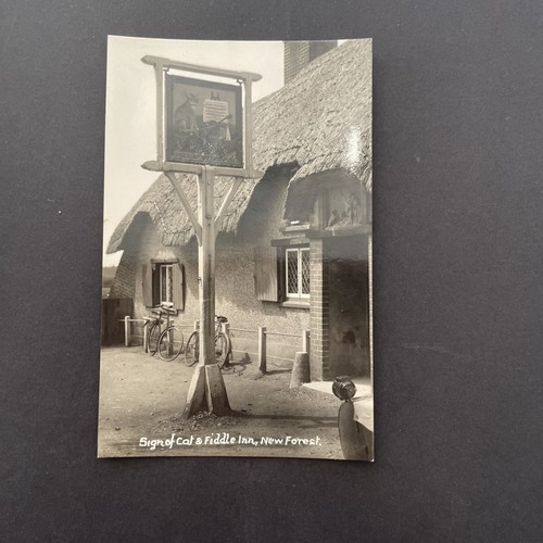 New forest hampshire postcard - new,