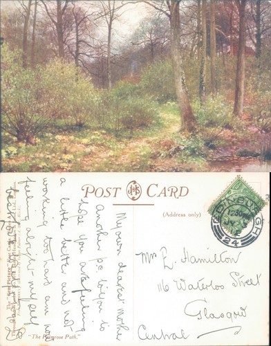Forest path spring salmon - j,