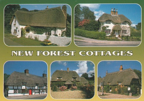 New forest cottages hampshire - new, cottages,