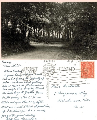 Vintage postcard woodland - postcard,