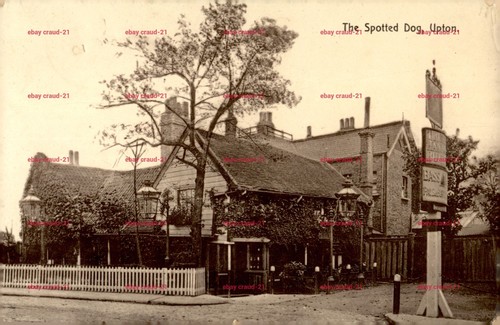 The spotted dog pub upton - dog,