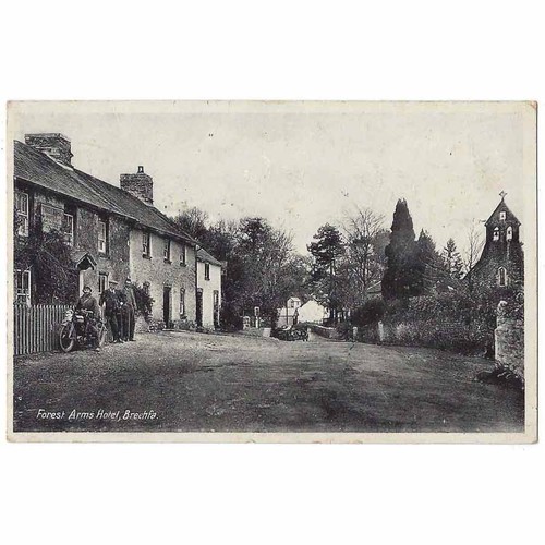 Brechfa carmarthenshire forest - carmarthenshire,