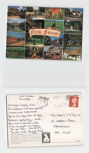 Postcard new forest - postcard,