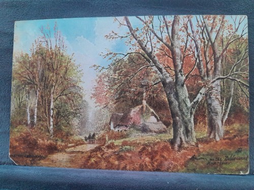 New forest autumn - new, card