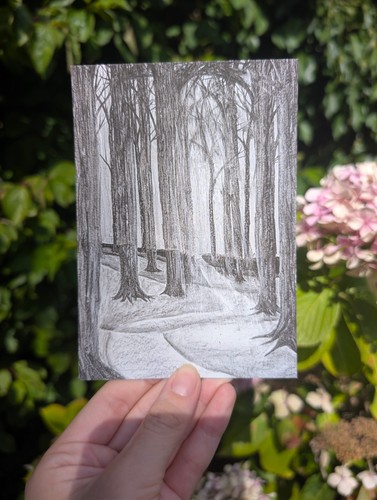 Along the forest path - the,