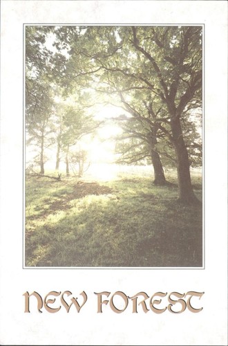New forest england postcard - new,
