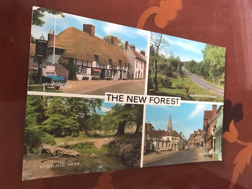 The new forest hampshire - new,