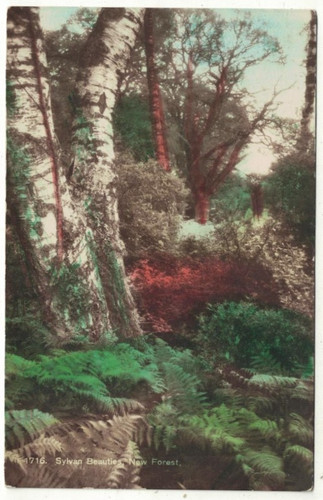 Real photo postcard - photo,