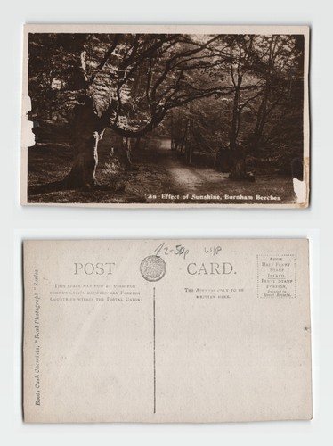 Postcard burnham beeches - postcard,