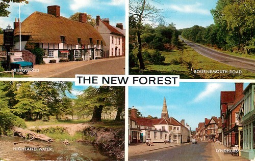 The new forest postcard - the,
