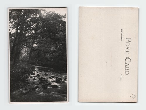 Postcard woodland stream - postcard,