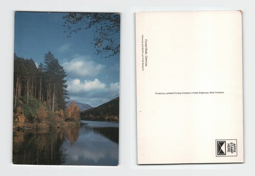 Postcard forest walk - postcard,