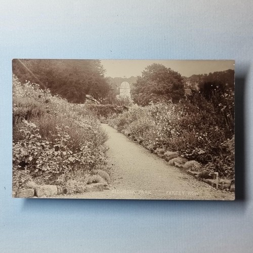 Forest row postcard c1925 real - forest,