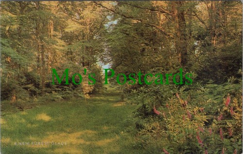 Hampshire postcard nature - hampshire,