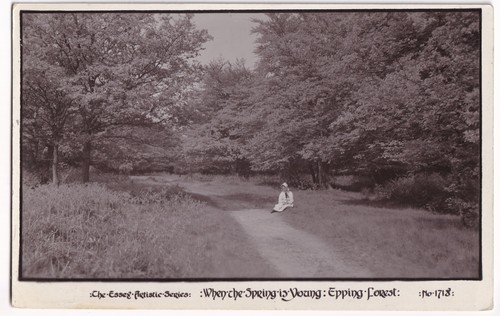 Epping forest essex rppc - epping,