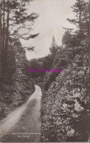 Hampshire postcard new - postcard,