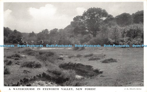 R388555 watercourse in - watercourse,