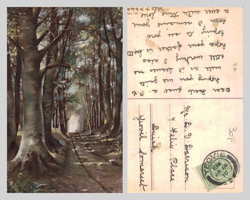 Vintage postcard woodland - vintage,