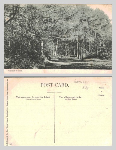 Vintage postcard weston - vintage,