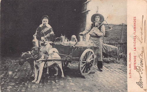 Family history postcard - family,