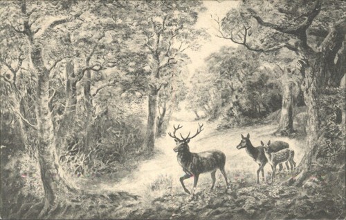 Vintage the forest glade - vintage,