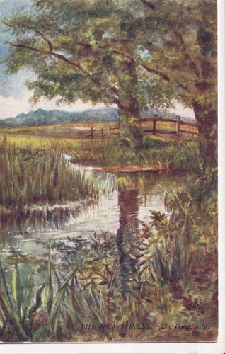 Vintage postcard the - postcard,