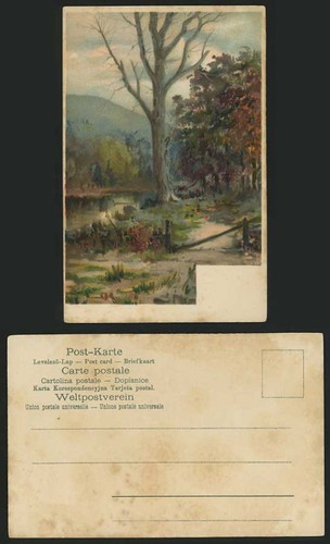 Woodland lake river - lake, old