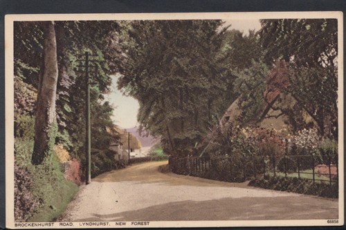 Hampshire postcard - hampshire,