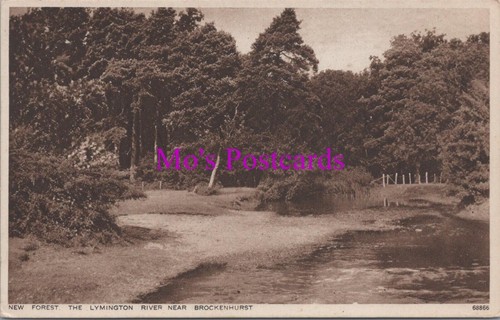 Hampshire postcard new - -,
