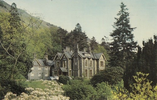 Postcard grasmere forest - -,