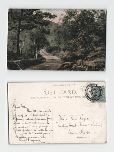 Postcard woodland road scene - road,