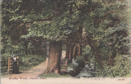 Devon postcard newton abbot - postcard:,