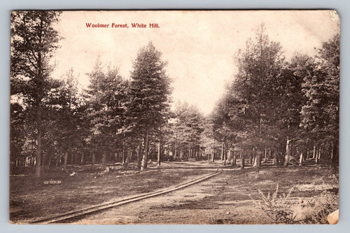 Postcard hampshire woolmer - -,