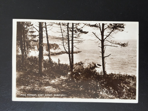 1930 guernsey pine forest - gb,