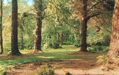 England postcard new - england,