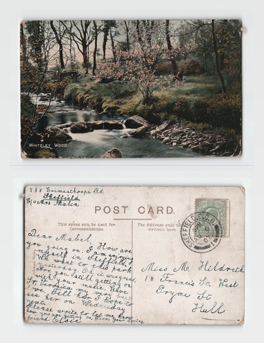 Postcard whiteley wood - whiteley,