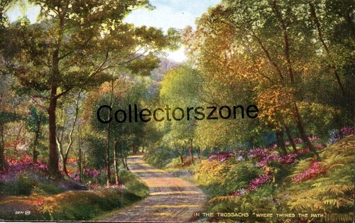 Trossachs stirlingshire - trossachs,