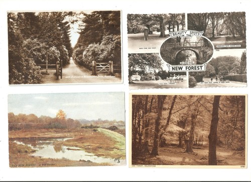 New forest hampshire - four, old