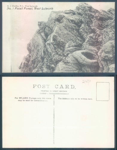 Postcard west lulworth - lulworth, rock