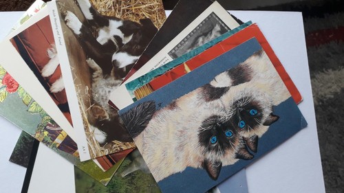 Postcards dogs cats donkeys - dogs,