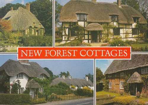 Postcard new forest cottages - new,