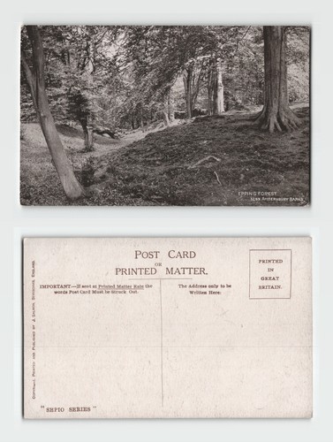 Postcard epping forest - postcard,