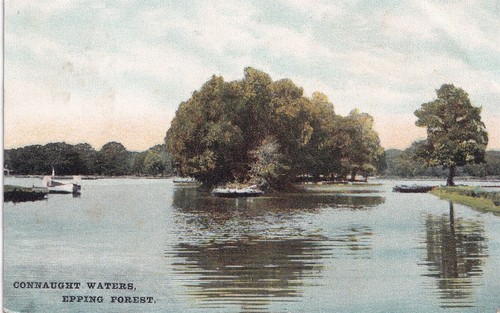 Postcard epping forest - epping,